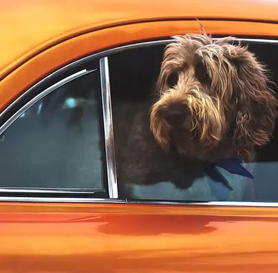 Novated Leasing Thumbnail 1